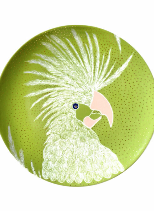 Salatiroheline desserditaldrik linnuga